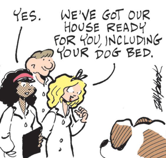 Line art OCR: YES. WE'VE GOT OUR 7 HOUSE READY FOR YOUINCLUDING YOUR DOG BED. 6 YES . WE'VE GOT OUR 7 HOUSE READY FOR YOUINCLUDING YOUR DOG BED . 6