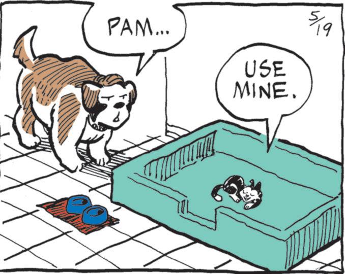 Graphics OCR: PAM... USE MINE. 5/19 PAM ... USE MINE . 5/19