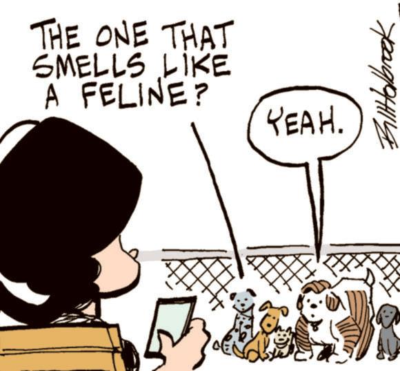 Canidae OCR: THE ONE THAT SMELLS LIKE A FELINE? YEAH. GIHHolbrook THE ONE THAT SMELLS LIKE A FELINE ? YEAH . GIHHolbrook