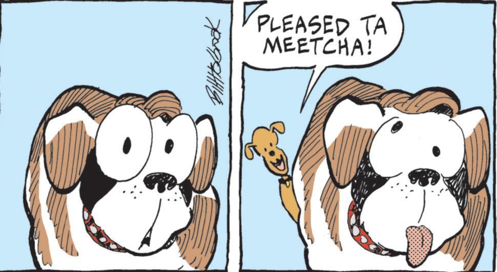 Toy dog OCR: Bittabbook PLEASED TA MEETCHA! Bittabbook PLEASED TA MEETCHA !