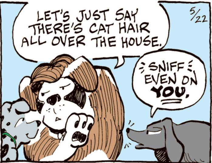 Animation OCR: LET'S JUST SAY THERE'S CAT HAIR ALL OVER THE HOUSE. 5/22 • SNIFFE EVEN ON t??LET'S JUST SAY THERE'S CAT HAIR ALL OVER THE HOUSE . 5/22 • SNIFFE EVEN ON t??
