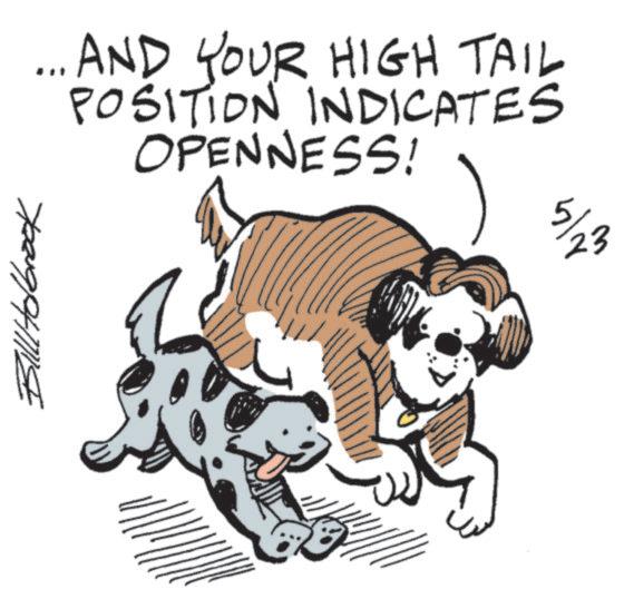 Canidae OCR: All Holbrook ... AND YOUR HIGH TAIL POSITION INDICATES OPENNESS! ?? ???? All Holbrook ... AND YOUR HIGH TAIL POSITION INDICATES OPENNESS ! ?? ????