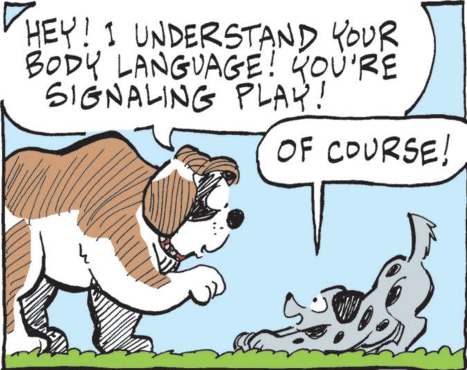 Graphics OCR: HEY! I UNDERSTAND YOUR BODY LANGUAGE! YOU'RE SIGNALING PLAY! OF COURSE! 4 HEY ! I UNDERSTAND YOUR BODY LANGUAGE ! YOU'RE SIGNALING PLAY ! OF COURSE ! 4