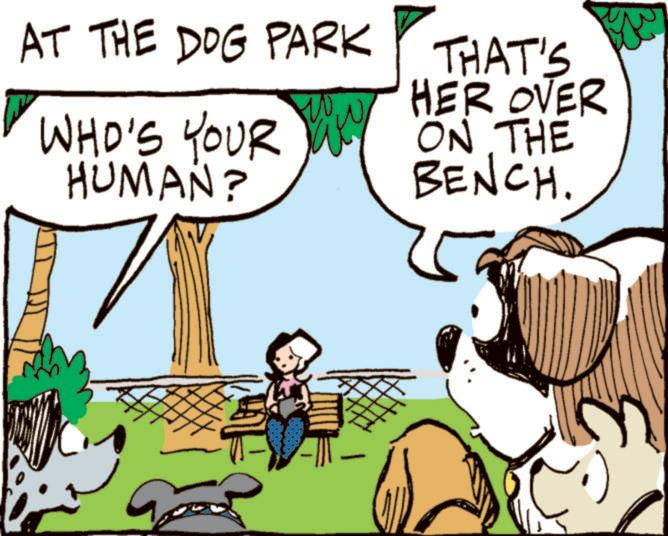 Comics OCR: AT THE DOG PARK WHO'S YOUR HUMAN? w THAT'S HER OVER ON THE BENCH. AT THE DOG PARK WHO'S YOUR HUMAN ? w THAT'S HER OVER ON THE BENCH .