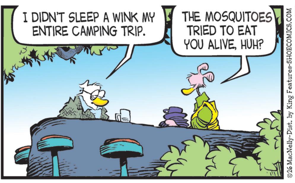 Fictional character OCR: I DIDN'T SLEEP A WINK MY ENTIRE CAMPING TRIP. THE MOSQUITOES TRIED TO EAT YOU ALIVEHUH? ©26 MacNelly-Dist. by King Features-SHOECOMICS.COM I DIDN'T SLEEP A WINK MY ENTIRE CAMPING TRIP . THE MOSQUITOES TRIED TO EAT YOU ALIVEHUH ? © 26 MacNelly - Dist . by King Features-SHOECOMICS.COM