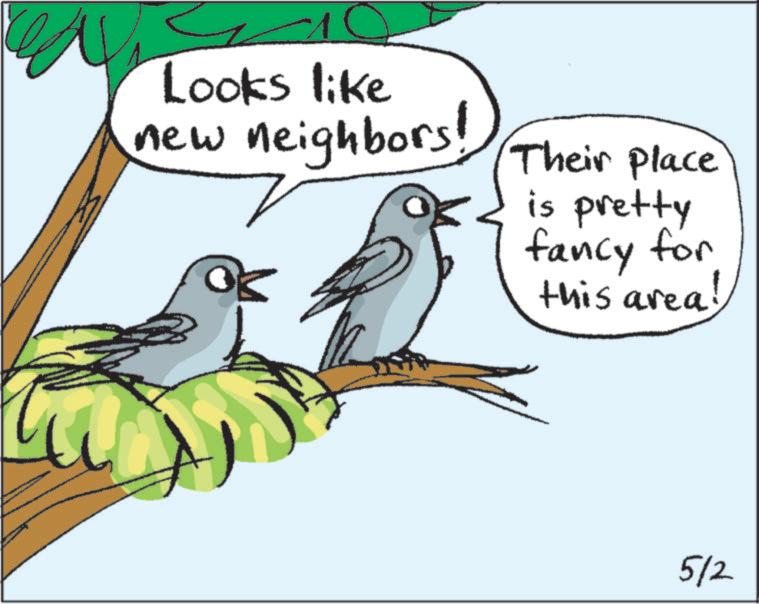 Handwriting OCR: 11 Looks like new neighbors! Their place is pretty fancy for this area! 5/2 11 Looks like new neighbors ! Their place is pretty fancy for this area ! 5/2