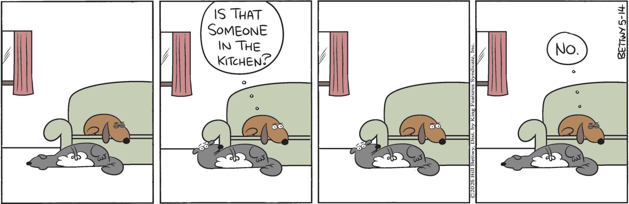 Puppy OCR: KITCHEN? IN THE SOMEONE IS THAT ©2026 Bill BettwyIn No. BETTWY 5-14 KITCHEN ? IN THE SOMEONE IS THAT © 2026 Bill BettwyDist . by King Features SyndicateIn No. BETTWY 5-14