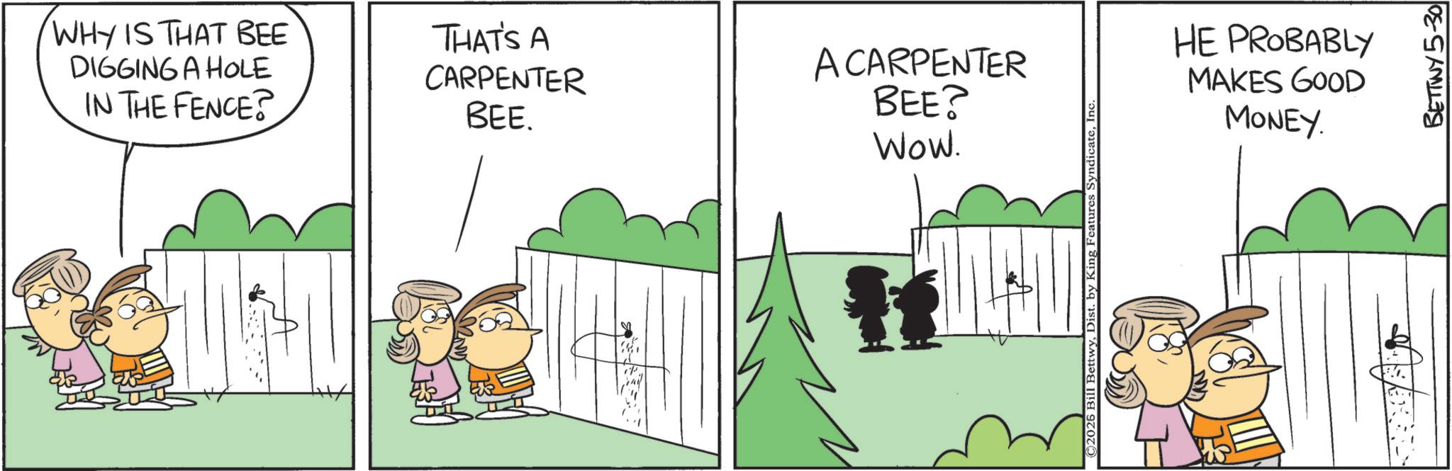 Pleased OCR: WHY IS THAT BEE DIGGING A HOLE IN THE FENCE? THAT'S A CARPENTER BEE. ACARPENTER BEE? WOW. ©2026 Bill BettwyIn HE PROBABLY MAKES GOOD MONEY. BETTWY 5-30 WHY IS THAT BEE DIGGING A HOLE IN THE FENCE ? THAT'S A CARPENTER BEE . ACARPENTER BEE ? WOW . © 2026 Bill BettwyDist . by King Features SyndicateIn HE PROBABLY MAKES GOOD MONEY . BETTWY 5-30