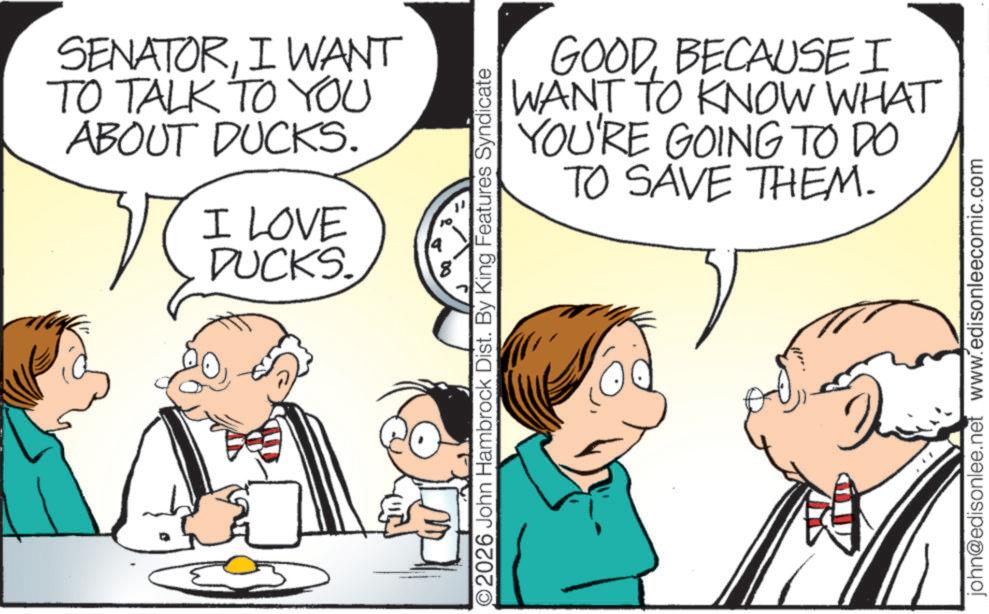 Happiness OCR: SENATORI WANT TO TALK TO YOU ABOUT DUCKS. I LOVE DUCKS. JO DO O2026 John Hambrock Dist. By King Features Syndicate GOODBECAUSE I WANT TO KNOW WHAT YOU'RE GOING TO DO TO SAVE THEM. john@edisonlee.net www.edisonleecomic.com SENATORI WANT TO TALK TO YOU ABOUT DUCKS . I LOVE DUCKS . JO DO O2026 John Hambrock Dist . By King Features Syndicate GOODBECAUSE I WANT TO KNOW WHAT YOU'RE GOING TO DO TO SAVE THEM . john@edisonlee.net www.edisonleecomic.com