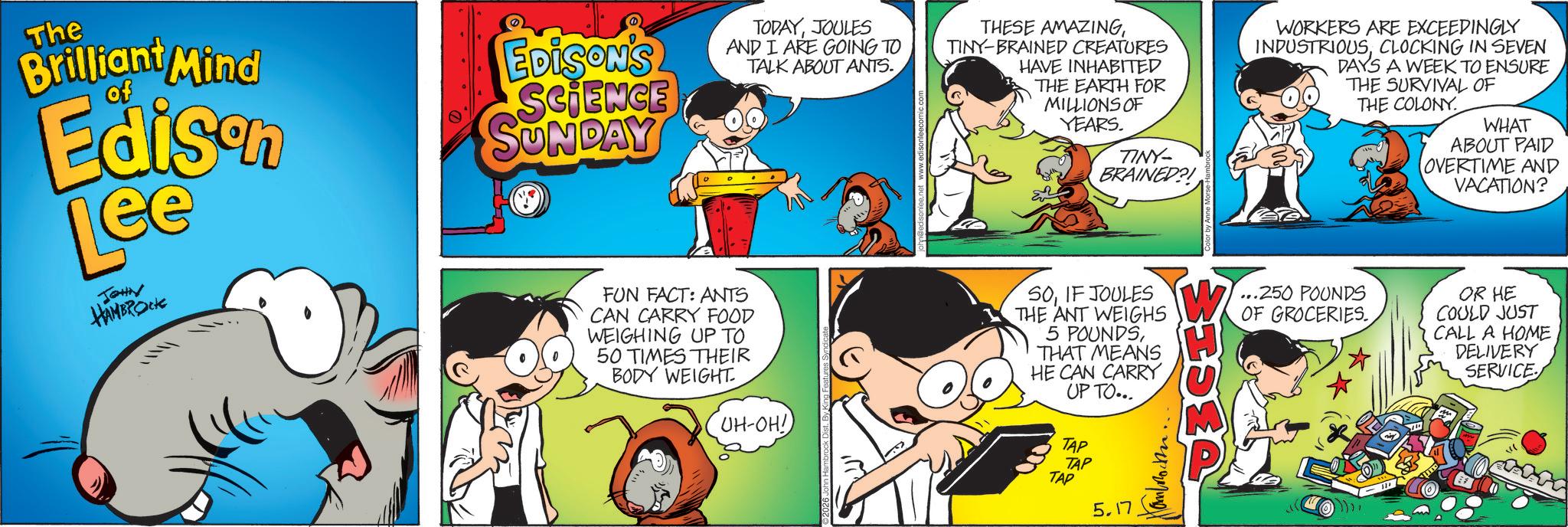 Happiness OCR: The Brilliant Mind of Edison Lee JOHN HAMBROCK EDISON'S SCIENCE SUNDAY TODAYJOULES AND I ARE GOING TO TALK ABOUT ANTS. FUN FACT: ANTS CAN CARRY FOOD WEIGHING UP TO 50 TIMES THEIR BODY WEIGHT. UH-OH! THESE AMAZINGTINY BRAINED CREATURES HAVE INHABITED THE EARTH FOR MILLIONS OF YEARS. TINY- BRAINED?! SOIF JOULES THE ANT WEIGHS 5 POUNDSTHAT MEANS HE CAN CARRY UP TO... TAP TAP TAP 5.17. WORKERS ARE EXCEEDINGLY INDUSTRIOUSCLOCKING IN SEVEN DAYS A WEEK TO ENSURE THE SURVIVAL OF THE COLONY ...250 POUNDS OF GROCERIES. WHAT ABOUT PAID (OVERTIME AND VACATION? OR HE COULD JUST CALL A HOME DELIVERY SERVICE The Brilliant Mind of Edison Lee JOHN HAMBROCK EDISON'S SCIENCE SUNDAY TODAYJOULES AND I ARE GOING TO TALK ABOUT ANTS . FUN FACT : ANTS CAN CARRY FOOD WEIGHING UP TO 50 TIMES THEIR BODY WEIGHT . UH - OH ! THESE AMAZINGTINY BRAINED CREATURES HAVE INHABITED THE EARTH FOR MILLIONS OF YEARS . TINY- BRAINED ?! SOIF JOULES THE ANT WEIGHS 5 POUNDSTHAT MEANS HE CAN CARRY UP TO ... TAP TAP TAP 5.17 . WORKERS ARE EXCEEDINGLY INDUSTRIOUSCLOCKING IN SEVEN DAYS A WEEK TO ENSURE THE SURVIVAL OF THE COLONY ... 250 POUNDS OF GROCERIES . WHAT ABOUT PAID ( OVERTIME AND VACATION ? OR HE COULD JUST CALL A HOME DELIVERY SERVICE