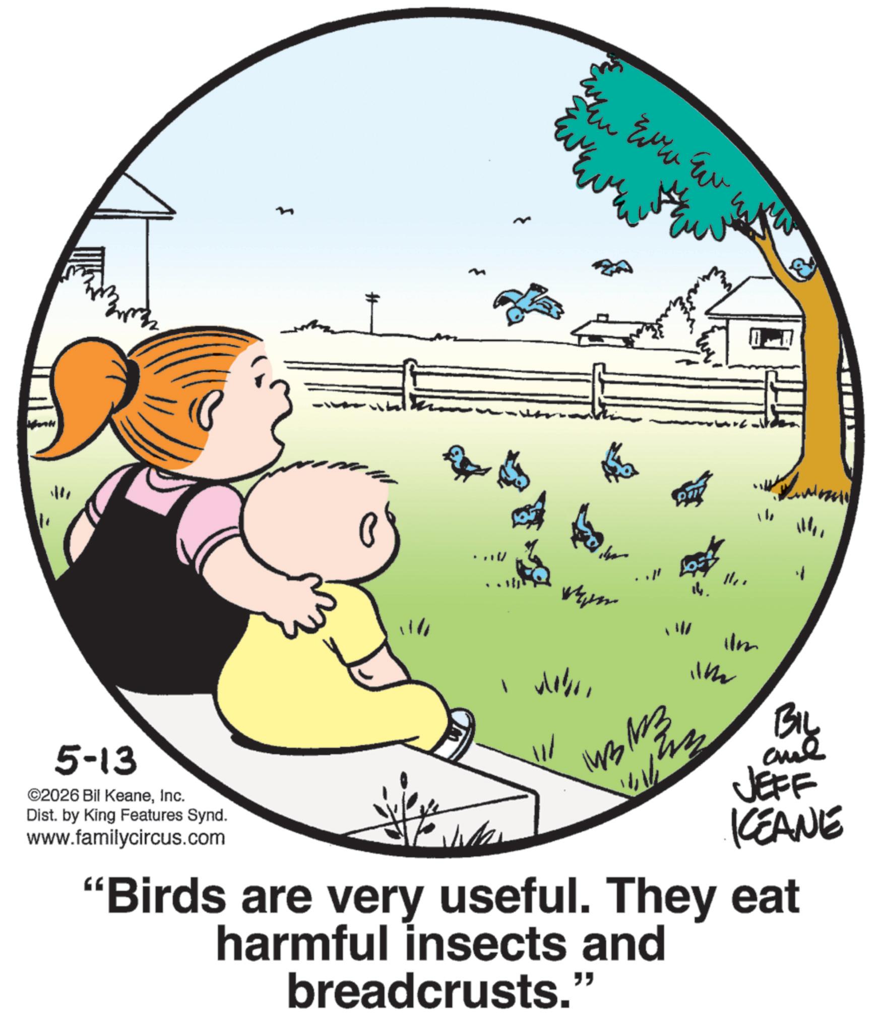 Photo caption OCR: 5-13 ©2026 Bil KeaneInc. Dist. by King Features Synd. www.familycircus.com ...V I En Eura Eu ?? ?? W ???'' 14. 11 ilm m BIL JEFF KCEANE "Birds are very useful. They eat harmful insects and breadcrusts." 5-13 © 2026 Bil KeaneInc. Dist . by King Features Synd . www.familycircus.com ... V I En Eura Eu ?? ?? W ??? ' ' 14 . 11 ilm m BIL JEFF KCEANE " Birds are very useful . They eat harmful insects and breadcrusts . "
