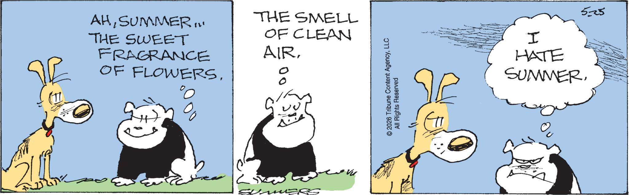 Comic book OCR: ?? AHSUMMER... THE SWEET FRAGRANCE OF FLOWERSTHE SMELL OF CLEAN AIRg MERS © 2026 Tribune Content AgencyLLC All Rights Reserved 5-25 I HATE SUMMER?? AHSUMMER ... THE SWEET FRAGRANCE OF FLOWERSTHE SMELL OF CLEAN AIRg MERS © 2026 Tribune Content AgencyLLC All Rights Reserved 5-25 I HATE SUMMER