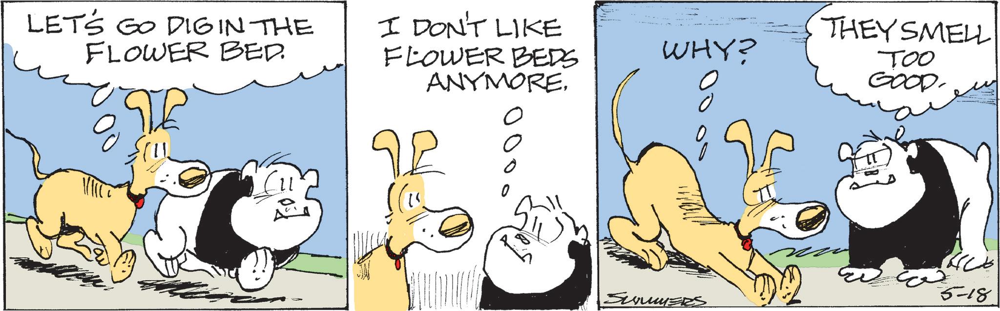 Graphics OCR: LET'S GO DIG IN THE FLOWER BED. I DON'T LIKE FLOWER BEDS ANYMORE2 0 WHY? THEY SMELL TOO GOOD. 5-18 SUMMERS LET'S GO DIG IN THE FLOWER BED . I DON'T LIKE FLOWER BEDS ANYMORE2 0 WHY ? THEY SMELL TOO GOOD . 5-18 SUMMERS