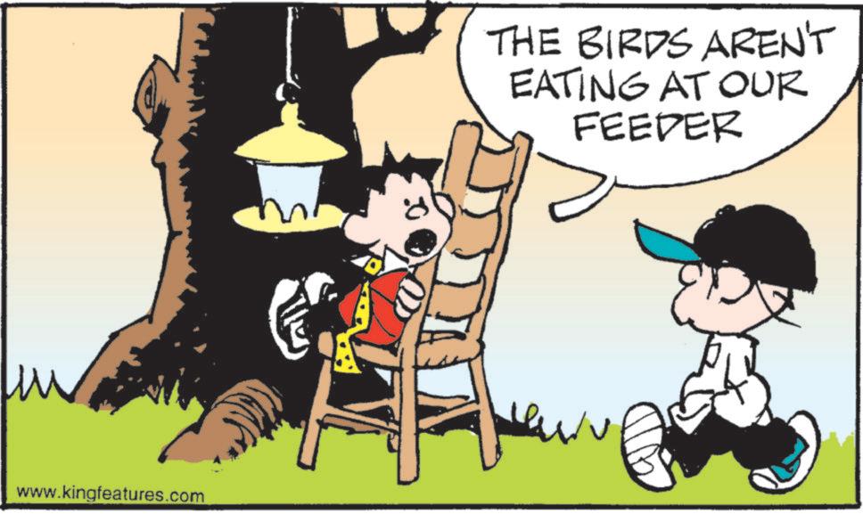 Comic book OCR: www.kingfeatures.com THE BIRDS AREN'T EATING AT OUR FEEDER www.kingfeatures.com THE BIRDS AREN'T EATING AT OUR FEEDER