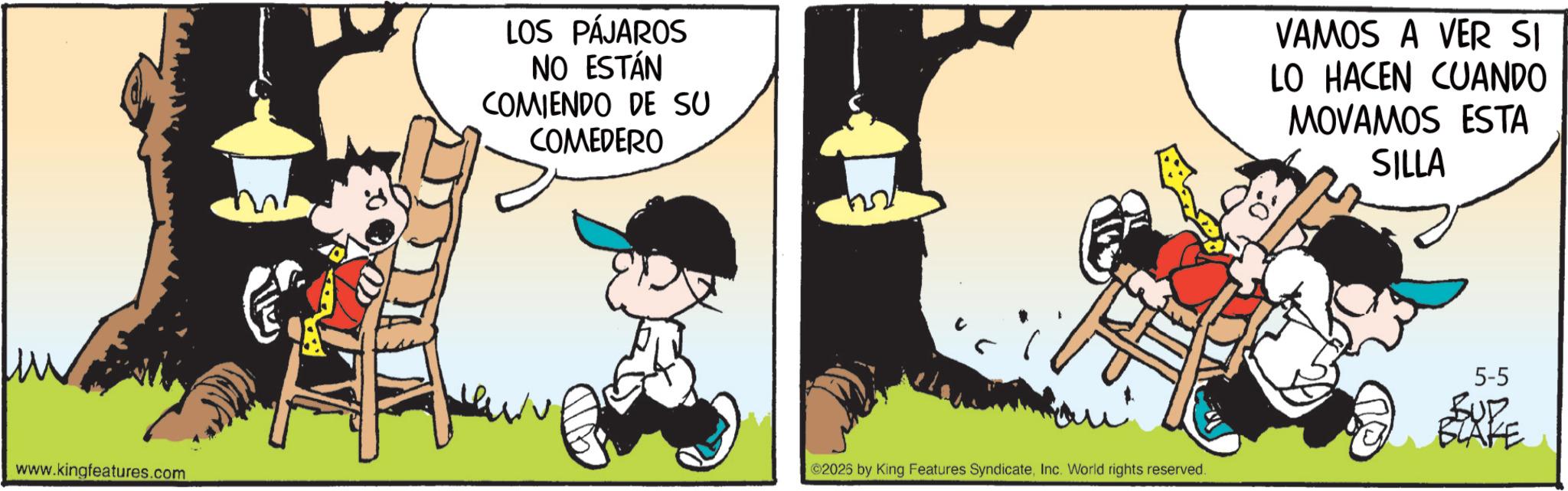 Comic book OCR: www.kingfeatures.com LOS PÁJAROS NO ESTÁN COMIENDO DE SU COMEDERO VAMOS A VER SI LO HACEN CUANDO MOVAMOS ESTA SILLA ©2026 by King Features SyndicateInc. World rights reserved. 5-5 BLAKE www.kingfeatures.com LOS PÁJAROS NO ESTÁN COMIENDO DE SU COMEDERO VAMOS A VER SI LO HACEN CUANDO MOVAMOS ESTA SILLA © 2026 by King Features SyndicateInc. World rights reserved . 5-5 BLAKE