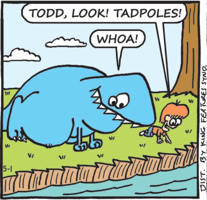 Marine biology OCR: JIL 5-1 VI VI TODDLOOK! TADPOLES! WHOA! ?? 197 Vi Vi W/ V/ DIST. BY KING FEATURES SYND. JIL 5-1 VI VI TODDLOOK ! TADPOLES ! WHOA ! ?? 197 Vi Vi W / V / DIST . BY KING FEATURES SYND .