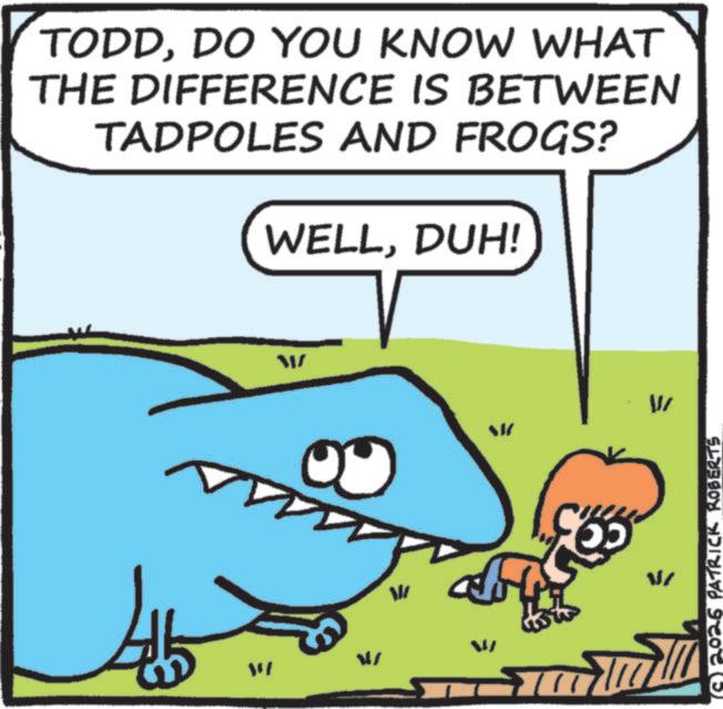 Clip art OCR: TODDDO YOU KNOW WHAT THE DIFFERENCE IS BETWEEN TADPOLES AND FROGS? WELLDUH! W W ? W 1026 PATRICK ROBERTS TODDDO YOU KNOW WHAT THE DIFFERENCE IS BETWEEN TADPOLES AND FROGS ? WELLDUH ! W W ? W 1026 PATRICK ROBERTS