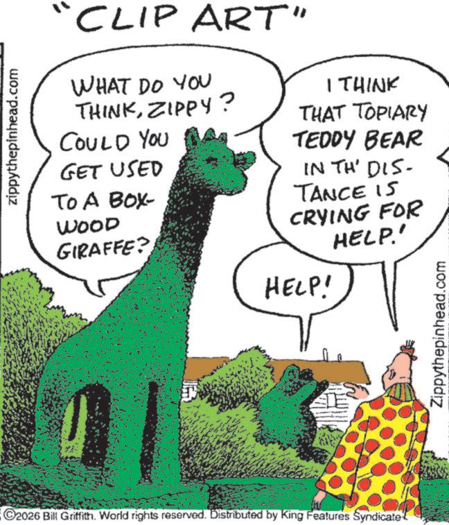 Child art OCR: zippythepinhead.com CLIP ART" WHAT DO YOU THINKZIPPY? I THINK THAT TOPIARY COULD YOU TEDDY BEAR IN TH' DIS- GET USED TO A BOX- WOOD GIRAFFE? TANCE IS CRYING FOR HELP! HELP.' ©2026 Bill Griffith. World rights reserved. Distributed by King Features Syndicate Zippythepinhead.com zippythepinhead.com CLIP ART " WHAT DO YOU THINKZIPPY ? I THINK THAT TOPIARY COULD YOU TEDDY BEAR IN TH ' DIS- GET USED TO A BOX- WOOD GIRAFFE ? TANCE IS CRYING FOR HELP ! HELP . ' © 2026 Bill Griffith . World rights reserved . Distributed by King Features Syndicate Zippythepinhead.com