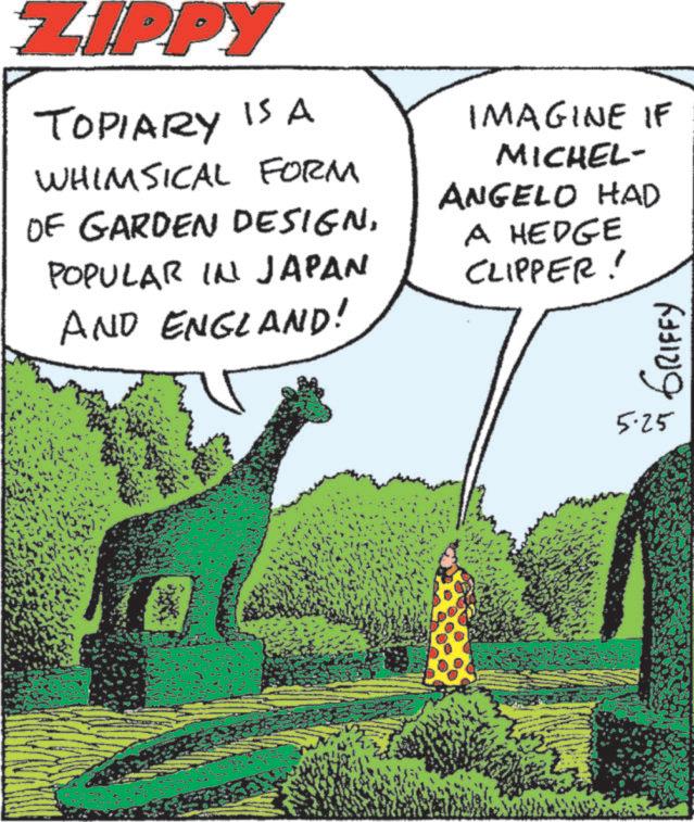 Giraffe OCR: ZIPPY TOPIARY IS A WHIMSICAL FORM OF GARDEN DESIGNPOPULAR IN JAPAN AND ENGLAND! IMAGINE IF MICHEL- ANGELO HAD A HEDGE CLIPPER! GRIFFY 5·25 ZIPPY TOPIARY IS A WHIMSICAL FORM OF GARDEN DESIGNPOPULAR IN JAPAN AND ENGLAND ! IMAGINE IF MICHEL- ANGELO HAD A HEDGE CLIPPER ! GRIFFY 5 · 25