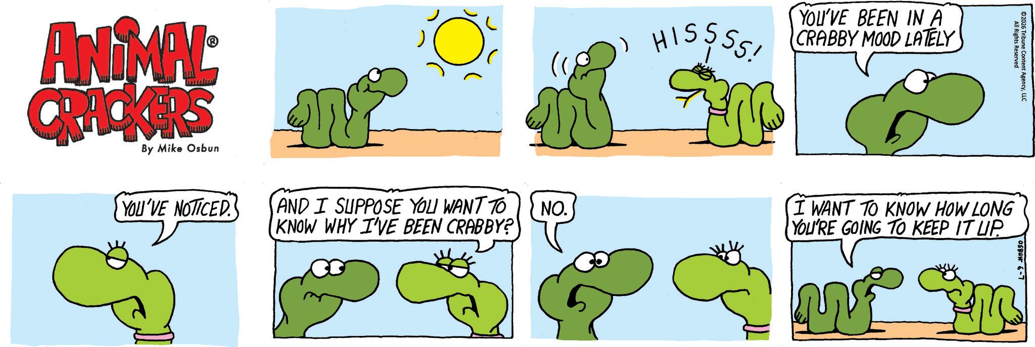 Line art OCR: ANIMAL CRACKERS By Mike Osbun HISSSSI YOU'VE BEEN IN A CRABBY MOOD LATELY YOU'VE NOTICED. AND I SUPPOSE YOU WANT TO (KNOW WHY I'VE BEEN CRABBY? NO. All Rights Reserved ©2026 Tribune Content AgencyLLC I WANT TO KNOW HOW LONG YOU'RE GOING TO KEEP IT UP. OSBUN 6-1 ANIMAL CRACKERS By Mike Osbun HISSSSI YOU'VE BEEN IN A CRABBY MOOD LATELY YOU'VE NOTICED . AND I SUPPOSE YOU WANT TO ( KNOW WHY I'VE BEEN CRABBY ? NO . All Rights Reserved © 2026 Tribune Content AgencyLLC I WANT TO KNOW HOW LONG YOU'RE GOING TO KEEP IT UP . OSBUN 6-1