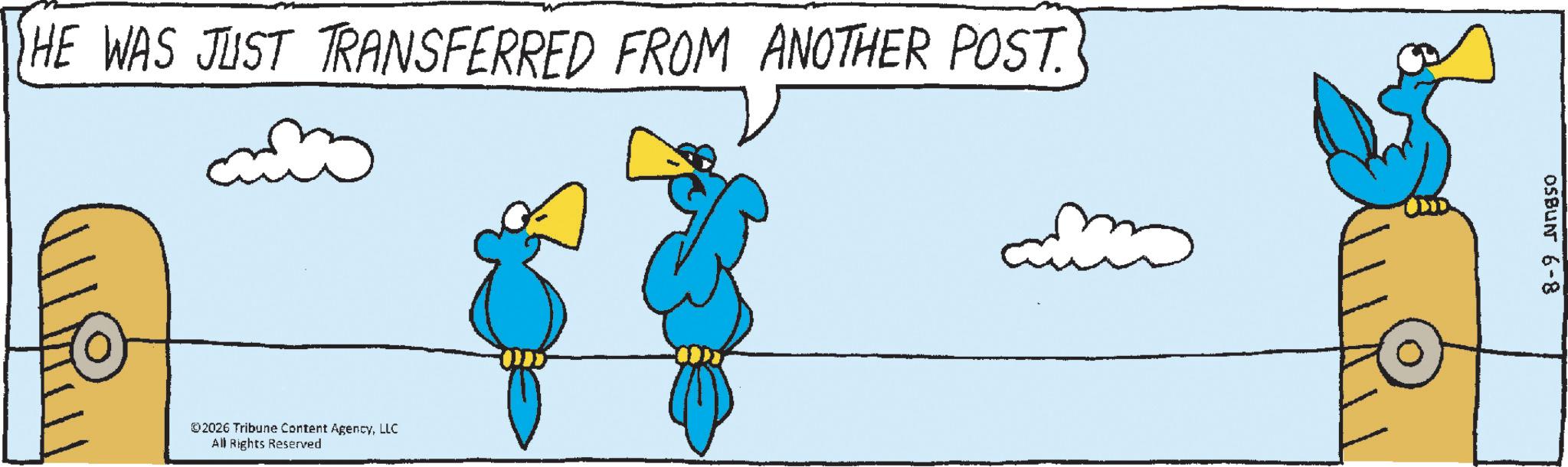 Bird OCR: HE WAS JUST TRANSFERRED FROM ANOTHER POST. ©2026 Tribune Content AgencyLLC All Rights Reserved OSBUN 6-8 HE WAS JUST TRANSFERRED FROM ANOTHER POST . © 2026 Tribune Content AgencyLLC All Rights Reserved OSBUN 6-8