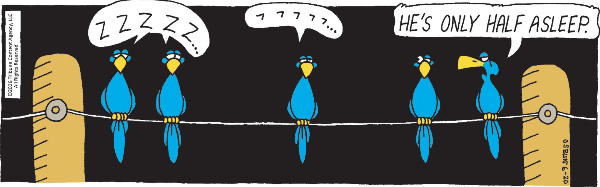 Graphics OCR: 2026 Tribune Content AgencyLLC All Rights Reserved ZZZ ZZ L 7777 HE'S ONLY HALF ASLEEP. OSBUN 6-20 2026 Tribune Content AgencyLLC All Rights Reserved ZZZ ZZ L 7777 HE'S ONLY HALF ASLEEP . OSBUN 6-20