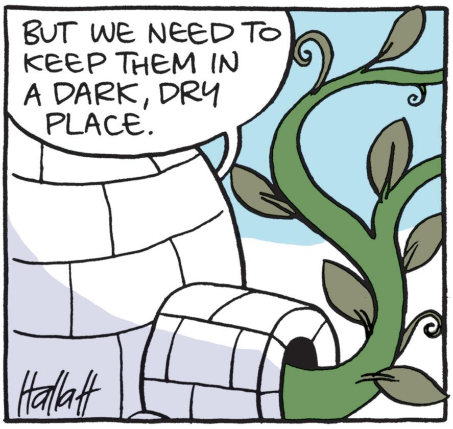 Fiction OCR: BUT WE NEED TO KEEP THEM IN A DARKDRY PLACE. Hallatt BUT WE NEED TO KEEP THEM IN A DARKDRY PLACE . Hallatt