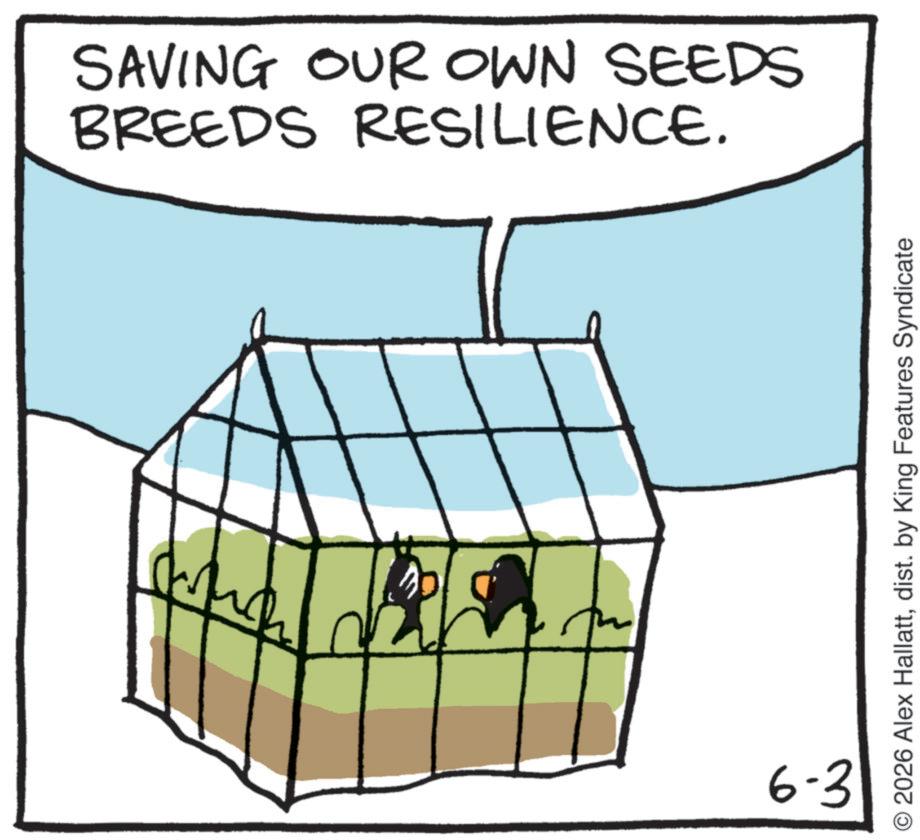 Beak OCR: ??? SAVING OUR OWN SEEDS BREEDS RESILIENCE. 6-3 O2026 Alex Hallattdist. by King Features Syndicate ??? SAVING OUR OWN SEEDS BREEDS RESILIENCE . 6-3 O2026 Alex Hallattdist . by King Features Syndicate