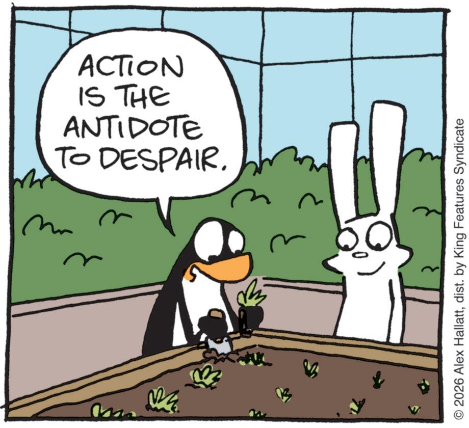 Fiction OCR: TO DESPAIR. ANTIDOTE IS THE ACTION mm O2026 Alex Hallattdist. by King Features Syndicate TO DESPAIR . ANTIDOTE IS THE ACTION mm O2026 Alex Hallattdist . by King Features Syndicate