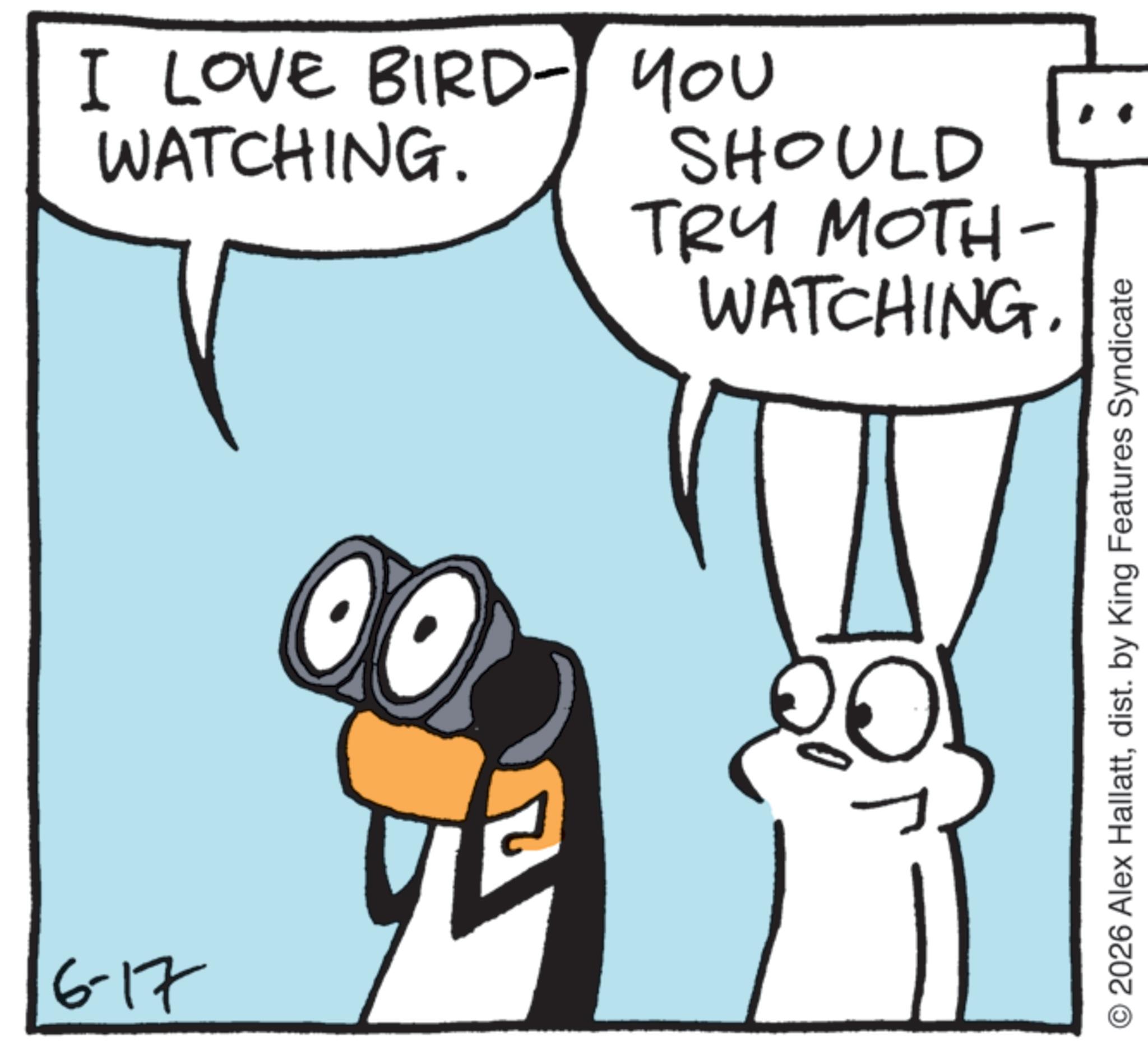 Graphics OCR: 6-17 I LOVE BIRD- YOU WATCHING. SHOULD TRY MOTH- WATCHING. 00 2026 Alex Hallattdist. by King Features Syndicate 6-17 I LOVE BIRD- YOU WATCHING . SHOULD TRY MOTH- WATCHING . 00 2026 Alex Hallattdist . by King Features Syndicate