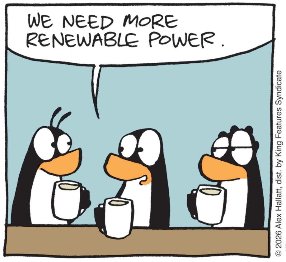 Penguin OCR: RENEWABLE POWER. WE NEED MORE O 2026 Alex Hallattdist. by King Features Syndicate RENEWABLE POWER . WE NEED MORE O 2026 Alex Hallattdist . by King Features Syndicate