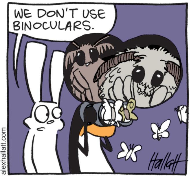 Graphic design OCR: alexhallatt.com WE DON'T USE BINOCULARS. Si Hallatt alexhallatt.com WE DON'T USE BINOCULARS . Si Hallatt