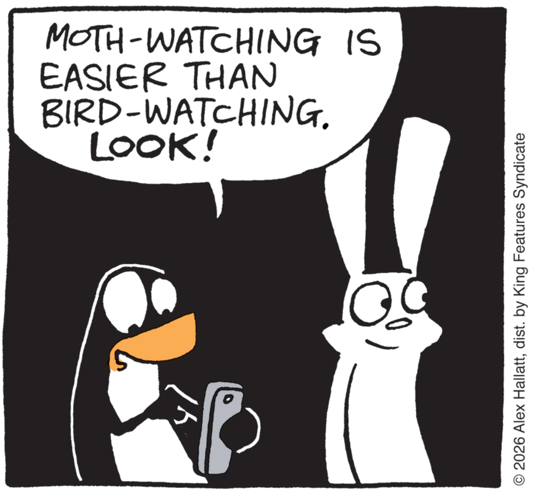Flightless bird OCR: LOOK! BIRD-WATCHING. EASIER THAN MOTH-WATCHING IS 5 0 © 2026 Alex Hallattdist. by King Features Syndicate LOOK ! BIRD - WATCHING . EASIER THAN MOTH - WATCHING IS 5 0 © 2026 Alex Hallattdist . by King Features Syndicate
