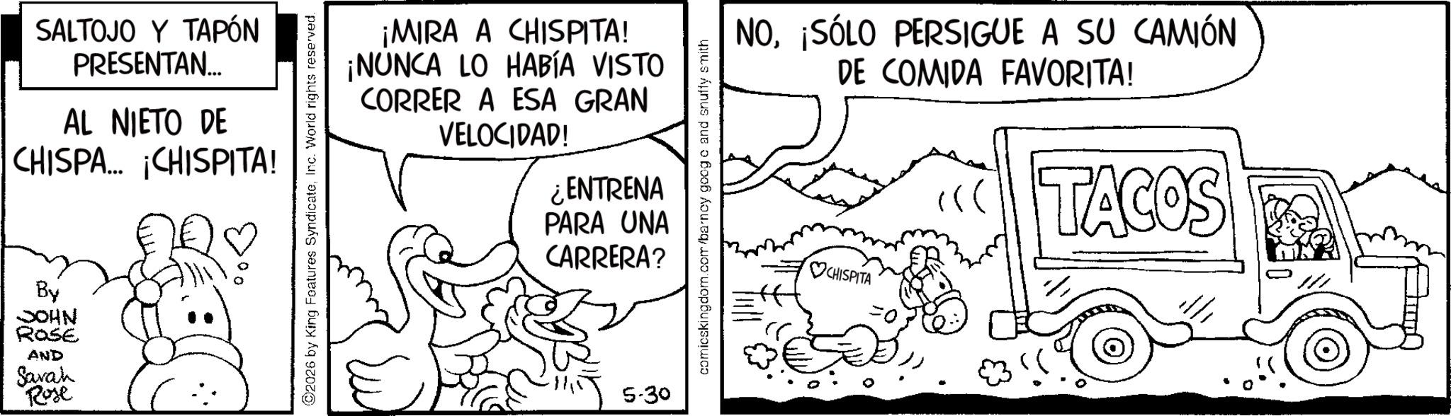 Line art OCR: SALTOJO Y TAPÓN PRESENTAN... AL NIETO DE CHISPA... ¡CHISPITA! By JOHN ROSE AND Sarah Rose ? 2026 by King Features SyndicateInc. World rights reserved. ¡MIRA A CHISPITA! ¡NUNCA LO HABÍA VISTO CORRER A ESA GRAN VELOCIDAD! ¿ENTRENA PARA UNA CARRERA? 5.30 comicskingdom.com/barney googo and snuffy smith NO¡SÓLO PERSIGUE A SU CAMIÓN DE COMIDA FAVORITA! TACOS CHISPITA ° SALTOJO Y TAPÓN PRESENTAN ... AL NIETO DE CHISPA ... ¡ CHISPITA ! By JOHN ROSE AND Sarah Rose ? 2026 by King Features SyndicateInc. World rights reserved . ¡ MIRA A CHISPITA ! ¡ NUNCA LO HABÍA VISTO CORRER A ESA GRAN VELOCIDAD ! ¿ ENTRENA PARA UNA CARRERA ? 5.30 comicskingdom.com/barney googo and snuffy smith NO¡ SÓLO PERSIGUE A SU CAMIÓN DE COMIDA FAVORITA ! TACOS CHISPITA °