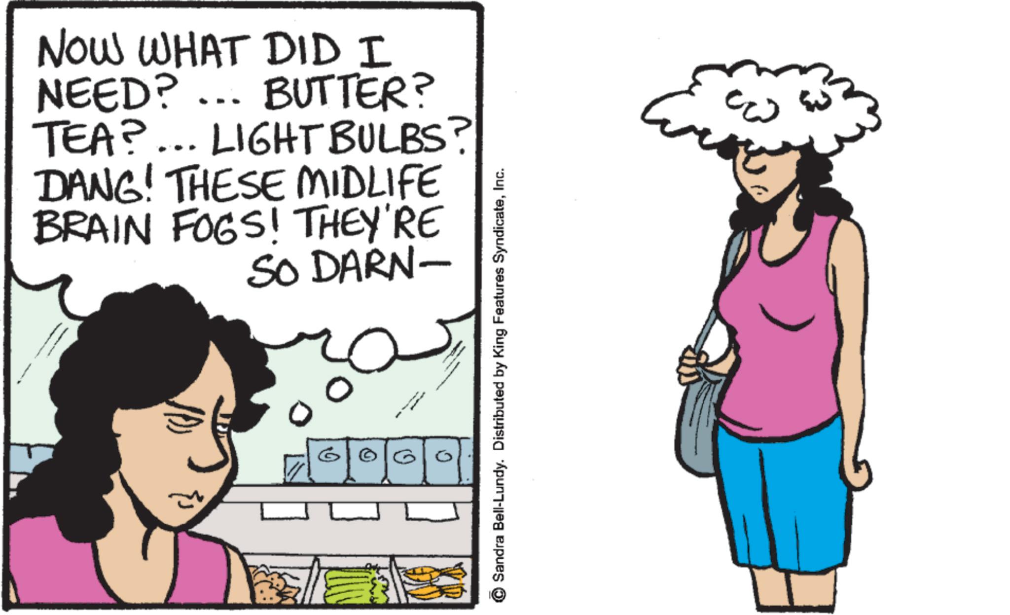 Fiction OCR: NOW WHAT DID I NEED? ... BUTTER? TEA?... LIGHT BULBS? DANG! THESE MIDLIFE BRAIN FOGS! THEY'RE SO DARN- Sandra Bell-Lundy. Distributed by King Features SyndicateInc. 0 0 NOW WHAT DID I NEED ? ... BUTTER ? TEA ? ... LIGHT BULBS ? DANG ! THESE MIDLIFE BRAIN FOGS ! THEY'RE SO DARN- Sandra Bell - Lundy . Distributed by King Features SyndicateInc. 0 0