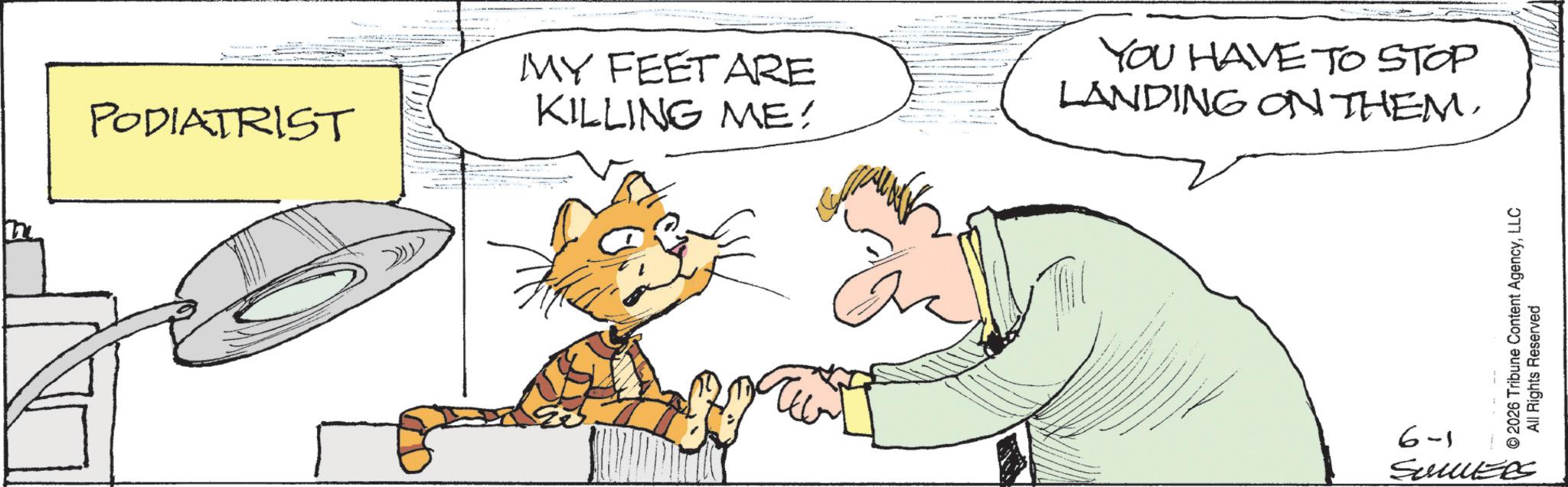 Animated cartoon OCR: PODIATRIST MY FEET ARE KILLING ME: YOU HAVE TO STOP LANDING ON THEM. 6-1 © 2026 Tribune Content AgencyLLC All Rights Reserved SUMMERS PODIATRIST MY FEET ARE KILLING ME : YOU HAVE TO STOP LANDING ON THEM . 6-1 © 2026 Tribune Content AgencyLLC All Rights Reserved SUMMERS