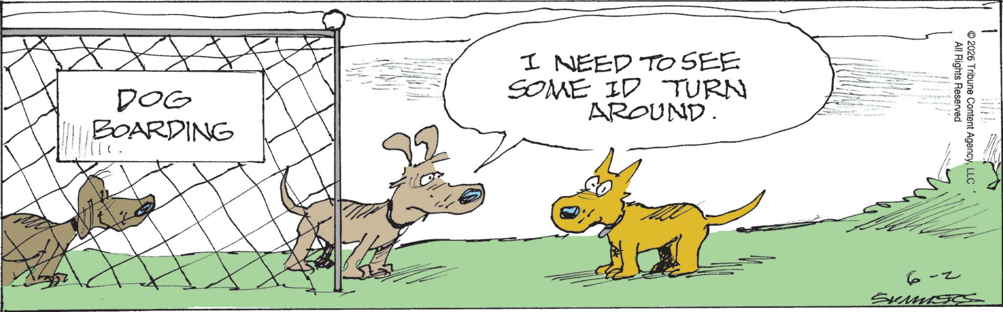 Working animal OCR: DOG BOARDING I NEED TO SEE SOME ID TURN AROUND. 1 All Rights Reserved © 2026 Tribune Content AgencyLLC 6-2 SUMES DOG BOARDING I NEED TO SEE SOME ID TURN AROUND . 1 All Rights Reserved © 2026 Tribune Content AgencyLLC 6-2 SUMES