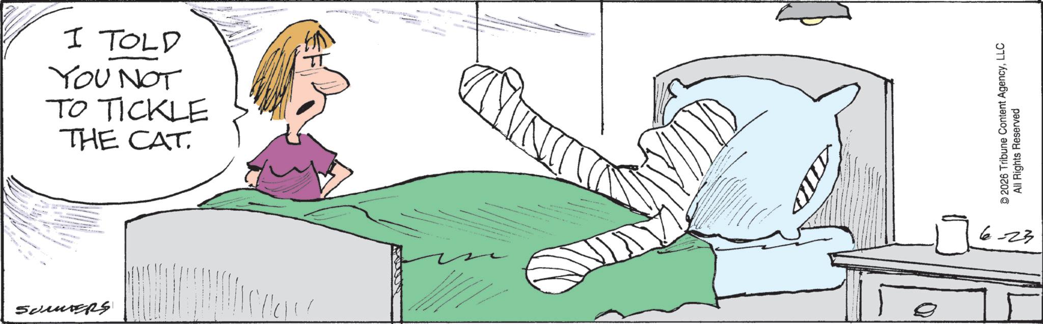 Photo caption OCR: I TOLD YOU NOT TO TICKLE THE CAT ? Somers TID 2026 Tribune Content AgencyLLC All Rights Reserved 623 I TOLD YOU NOT TO TICKLE THE CAT ? Somers TID 2026 Tribune Content AgencyLLC All Rights Reserved 623