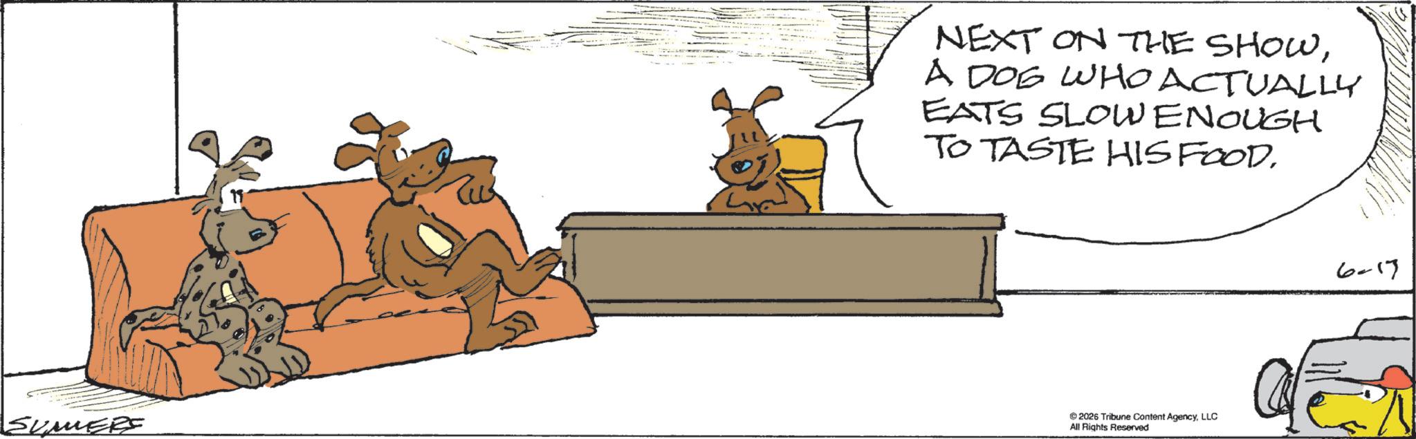 Fiction OCR: SUMERS NEXT ON THE SHOWA DOG WHO ACTUALLY EATS SLOW ENOUGH TO TASTE HIS FOOD. ©2026 Tribune Content AgencyLLC All Rights Reserved 6-17 SUMERS NEXT ON THE SHOWA DOG WHO ACTUALLY EATS SLOW ENOUGH TO TASTE HIS FOOD . © 2026 Tribune Content AgencyLLC All Rights Reserved 6-17