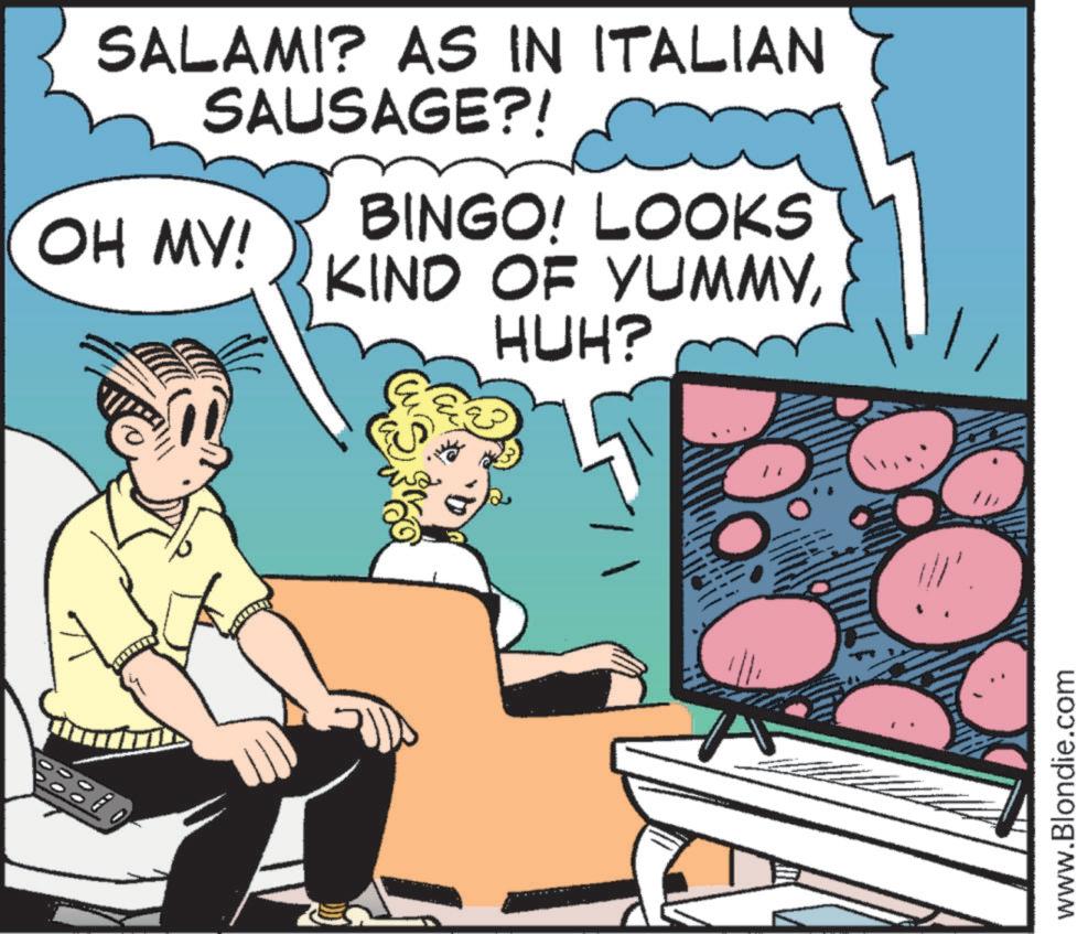 Fictional character OCR: SALAMI? AS IN ITALIAN SAUSAGE?! OH MY! BINGO! LOOKS KIND OF YUMMYHUH? www.Blondie.com SALAMI ? AS IN ITALIAN SAUSAGE ?! OH MY ! BINGO ! LOOKS KIND OF YUMMYHUH ? www.Blondie.com