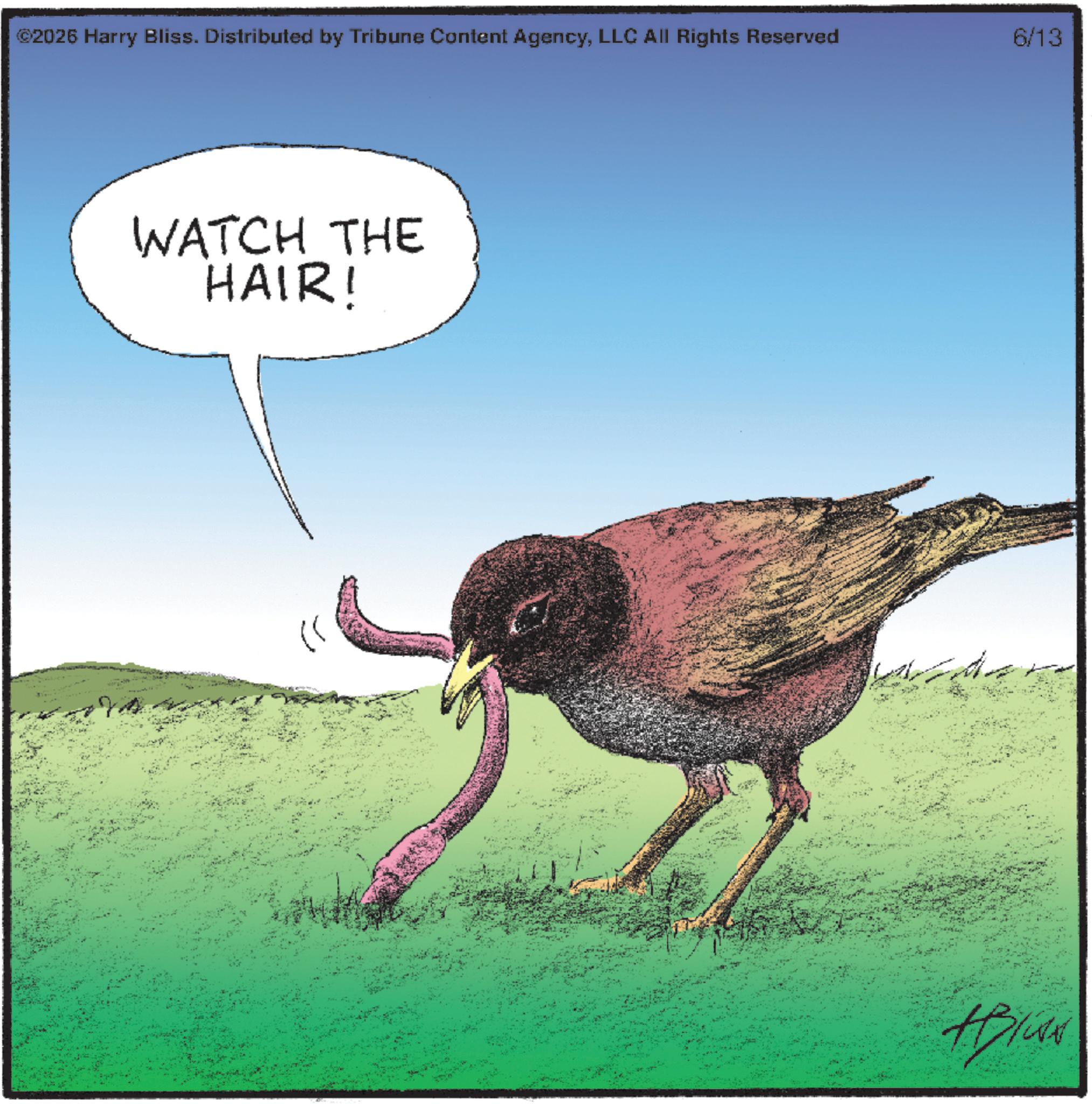 Passerine OCR: ©2026 Harry Bliss. Distributed by Tribune Content AgencyLLC All Rights Reserved 6/13 WATCH THE HAIR! © 2026 Harry Bliss . Distributed by Tribune Content AgencyLLC All Rights Reserved 6/13 WATCH THE HAIR !