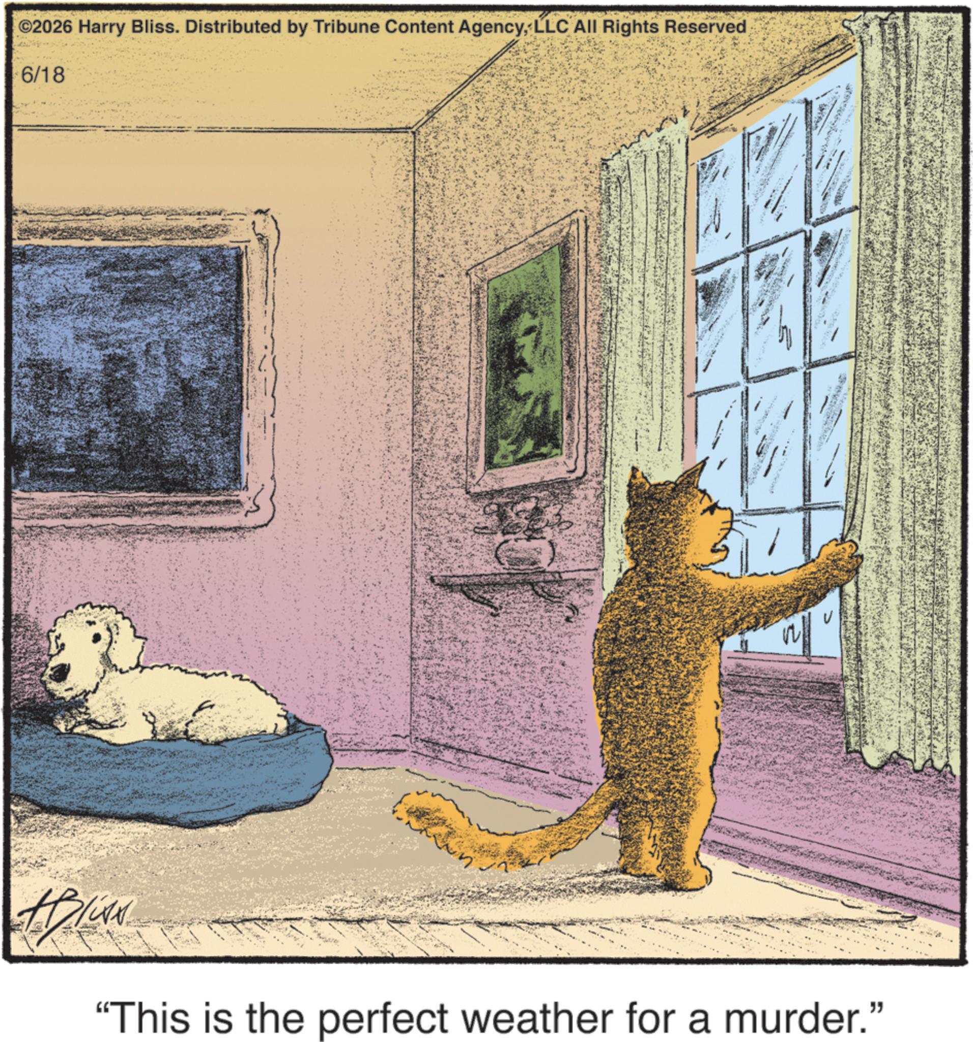 Canidae OCR: ©2026 Harry Bliss. Distributed by Tribune Content AgencyLLC All Rights Reserved 6/18 ABICAN "This is the perfect weather for a murder." © 2026 Harry Bliss . Distributed by Tribune Content AgencyLLC All Rights Reserved 6/18 ABICAN " This is the perfect weather for a murder . "
