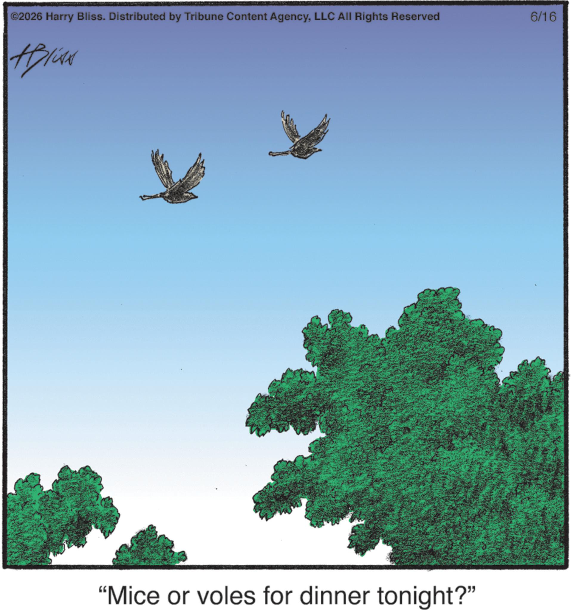 Crow family OCR: ©2026 Harry Bliss. Distributed by Tribune Content AgencyLLC All Rights Reserved HIWA "Mice or voles for dinner tonight?" 6/16 © 2026 Harry Bliss . Distributed by Tribune Content AgencyLLC All Rights Reserved HIWA " Mice or voles for dinner tonight ? " 6/16