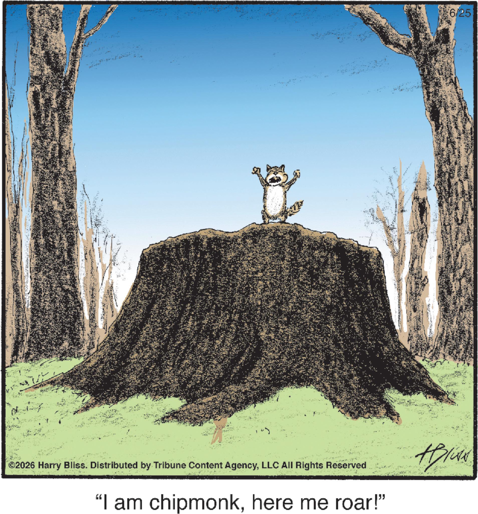 Eastern gray squirrel OCR: ©2026 Harry Bliss. Distributed by Tribune Content AgencyLLC All Rights Reserved "I am chipmonkhere me roar!" 6/25 © 2026 Harry Bliss . Distributed by Tribune Content AgencyLLC All Rights Reserved " I am chipmonkhere me roar ! " 6/25