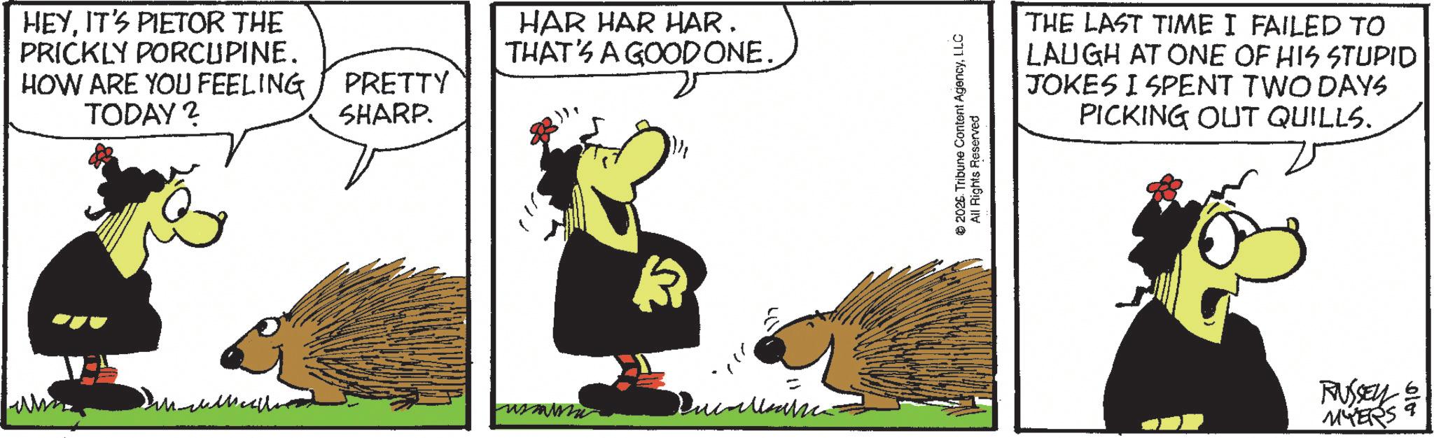 Photo caption OCR: HEYIT'S PIETOR THE PRICKLY PORCUPINE. HOW ARE YOU FEELING TODAY? PRETTY SHARP. HAR HAR HAR. THAT'S A GOOD ONE. ? ??? Dulle ©2026. Tribune Content AgencyLLC All Rights Reserved THE LAST TIME I FAILED TO LAUGH AT ONE OF HIS STUPID JOKES I SPENT TWO DAYS PICKING OUT QUILLS. RUSSEN & MYERS HEYIT'S PIETOR THE PRICKLY PORCUPINE . HOW ARE YOU FEELING TODAY ? PRETTY SHARP . HAR HAR HAR . THAT'S A GOOD ONE . ? ??? Dulle © 2026 . Tribune Content AgencyLLC All Rights Reserved THE LAST TIME I FAILED TO LAUGH AT ONE OF HIS STUPID JOKES I SPENT TWO DAYS PICKING OUT QUILLS . RUSSEN & MYERS
