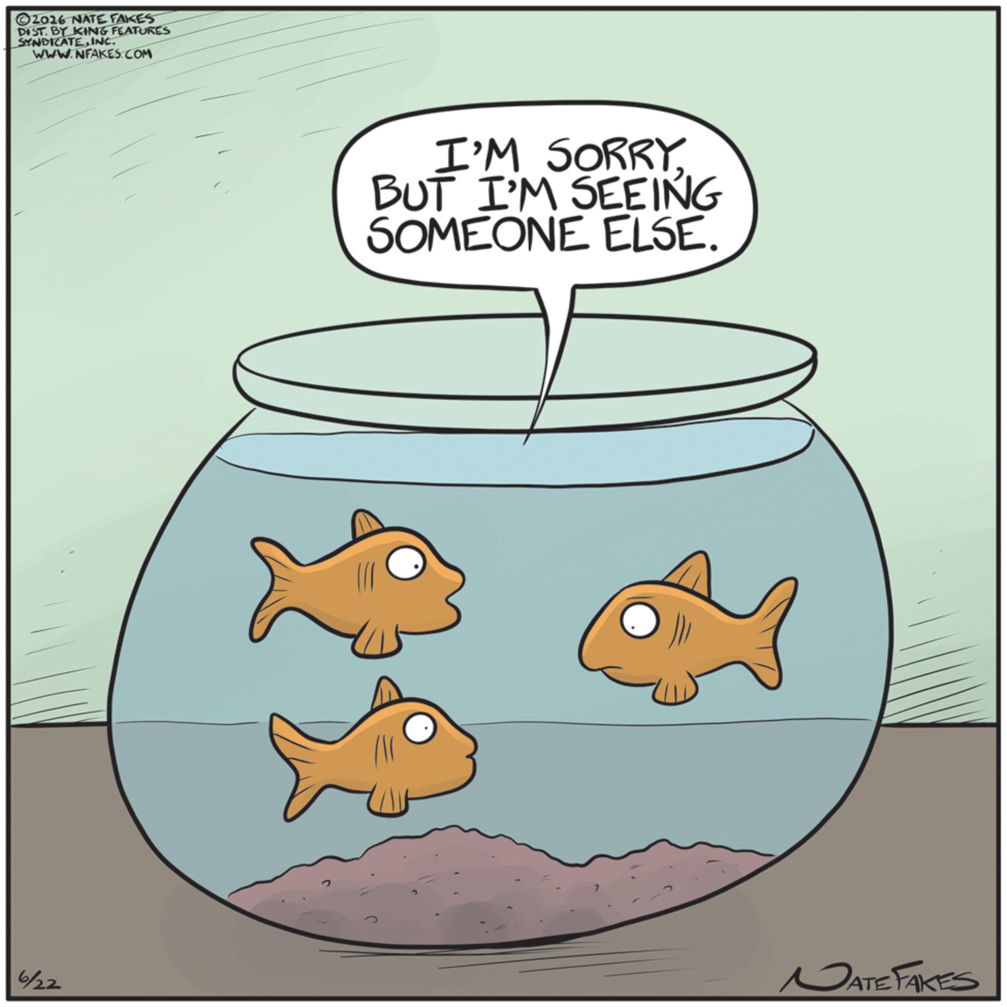 Fish products OCR: ©2016 NATE FAKES DIST. BY KING FEATURES SYNDICATEINC. WWW.NFAKES.COM I'M SORRY. BUT I'M SEEING SOMEONE ELSE. 6/22 NATE FAKES © 2016 NATE FAKES DIST . BY KING FEATURES SYNDICATEINC . WWW.NFAKES.COM I'M SORRY . BUT I'M SEEING SOMEONE ELSE . 6/22 NATE FAKES