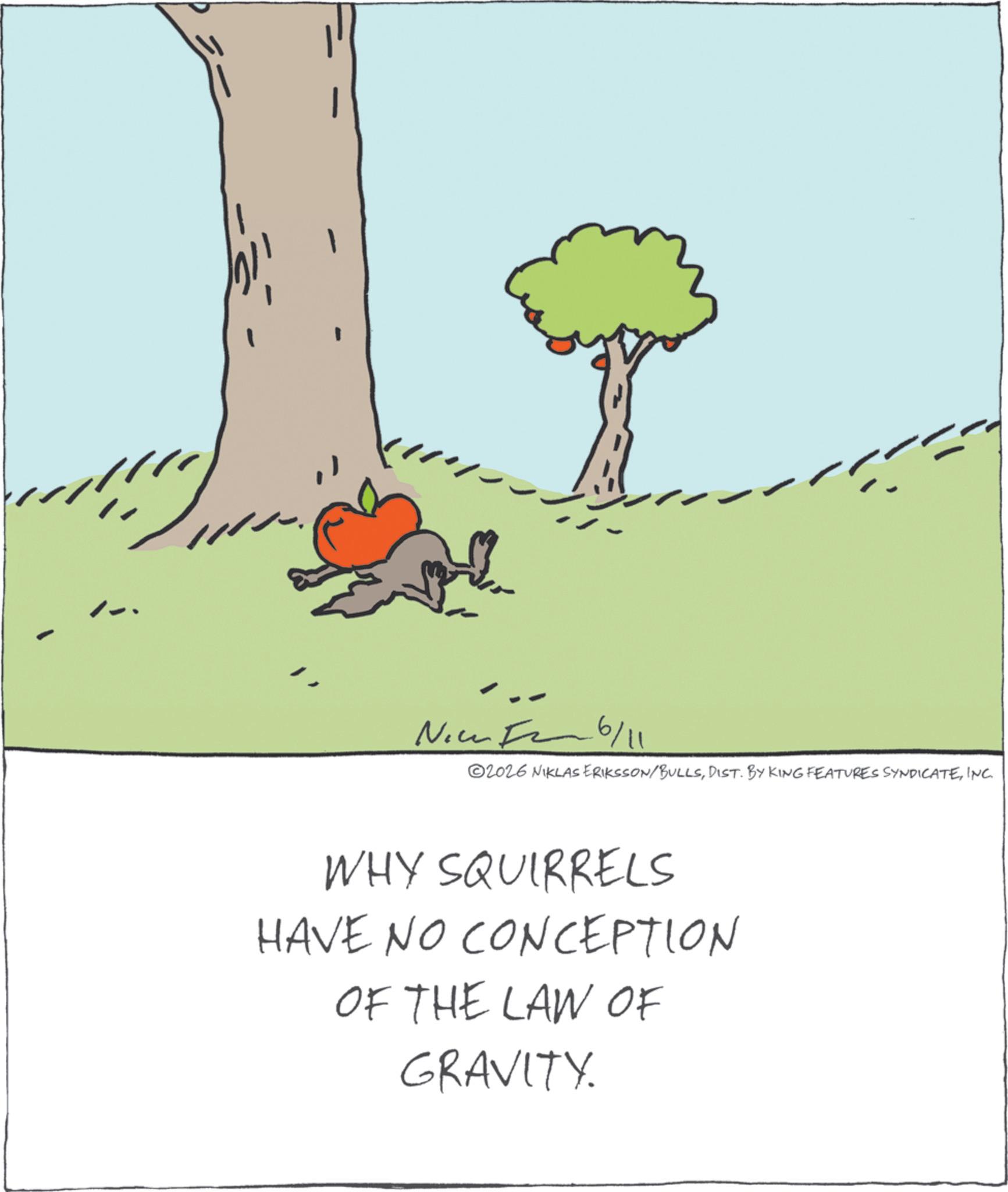 Tail OCR: Nice F 6/11 2026 NIKLAS ERIKSSON/BULLSINC WHY SQUIRRELS HAVE NO CONCEPTION OF THE LAW OF GRAVITY. Nice F 6/11 2026 NIKLAS ERIKSSON / BULLSDIST . BY KING FEATURES SYNDICATEINC WHY SQUIRRELS HAVE NO CONCEPTION OF THE LAW OF GRAVITY .