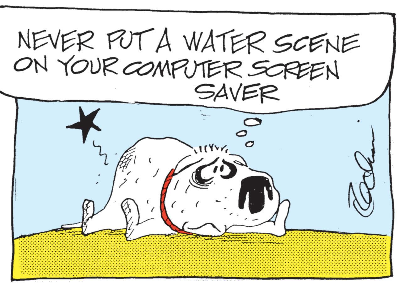 Photo caption OCR: NEVER PUT A WATER SCENE ON YOUR COMPUTER SCREEN SAVER 00 NEVER PUT A WATER SCENE ON YOUR COMPUTER SCREEN SAVER 00