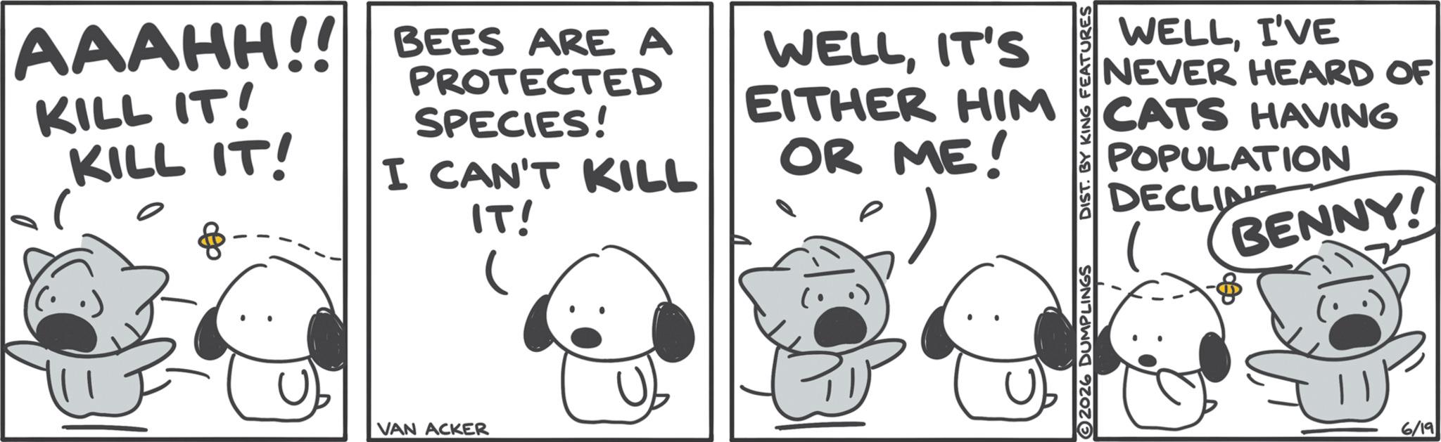 Graphics OCR: AAAHH!! BEES ARE A KILL IT! KILL IT! PROTECTED SPECIES! I CAN'T KILL IT! WELLIT'S EITHER HIM OR ME! VAN ACKER WELLI'VE NEVER HEARD OF CATS HAVING POPULATION DECLINE BENNY! 2026 DUMPLINGS DIST. BY KING FEATURES 6/19 AAAHH !! BEES ARE A KILL IT ! KILL IT ! PROTECTED SPECIES ! I CAN'T KILL IT ! WELLIT'S EITHER HIM OR ME ! VAN ACKER WELLI'VE NEVER HEARD OF CATS HAVING POPULATION DECLINE BENNY ! 2026 DUMPLINGS DIST . BY KING FEATURES 6/19