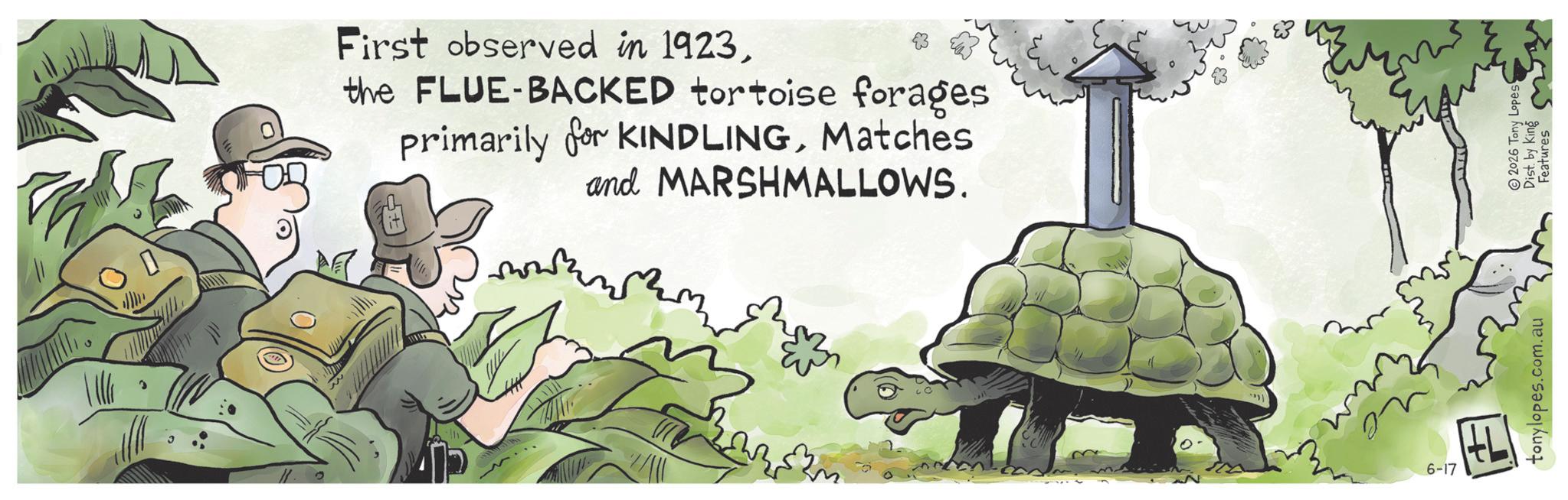 Soldier OCR: First observed in 1923the FLUE-BACKED tortoise forages primarily for KINDLINGMatches and MARSHMALLOWS. 6-17 ? tonylopes.com.au 2026 Tony Lopes Dist. by King Features First observed in 1923the FLUE - BACKED tortoise forages primarily for KINDLINGMatches and MARSHMALLOWS . 6-17 ? tonylopes.com.au 2026 Tony Lopes Dist . by King Features